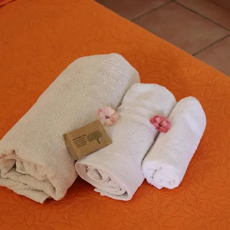 Agriturismo L' Agrumeto Agroturismo Girasole