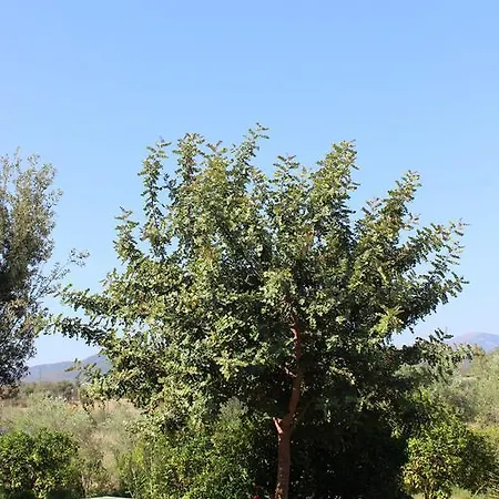 Agriturismo L' Agrumeto 팜스테이 *