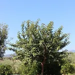 Agriturismo L' Agrumeto Κατάλυμα σε φάρμα *
