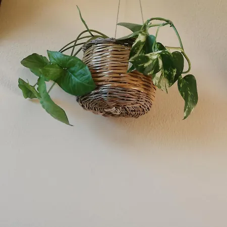 팜스테이 Agriturismo L' Agrumeto *