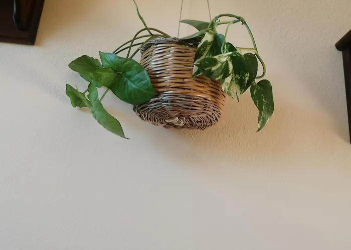 Фермерский дом Agriturismo L' Agrumeto *